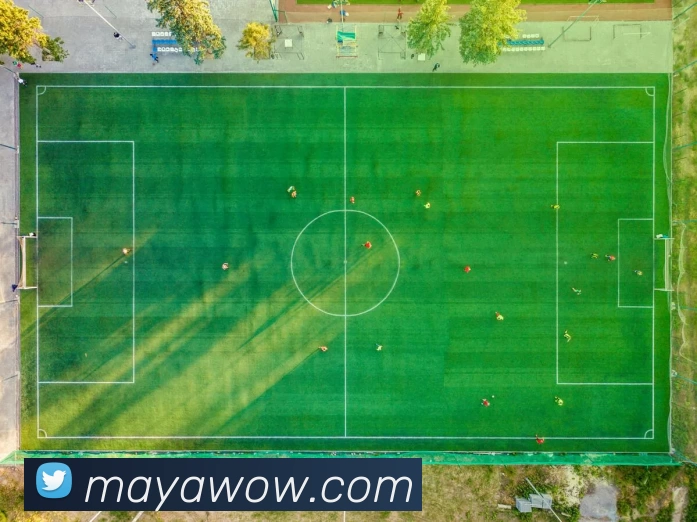 App Interface Preview