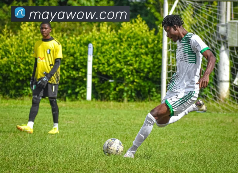 玛雅吧官网APP 封面图